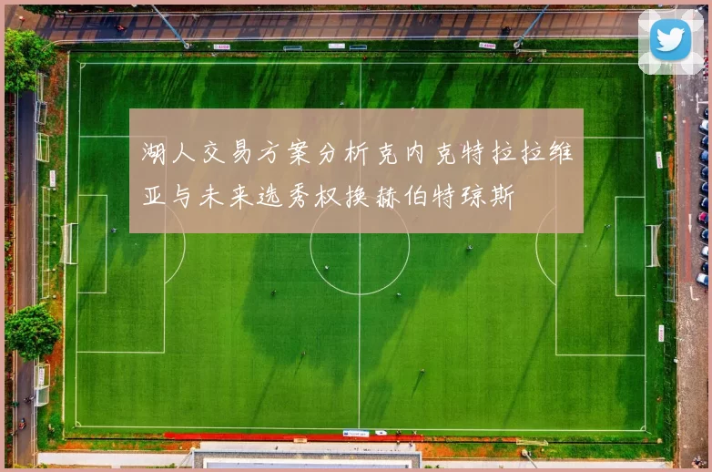 湖人交易方案分析克内克特拉拉维亚与未来选秀权换赫伯特琼斯